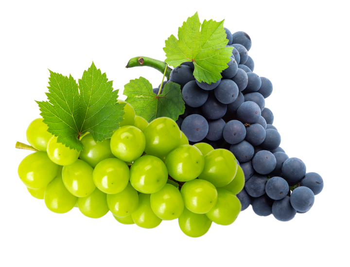 포도
