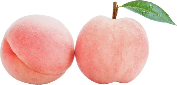 복숭아